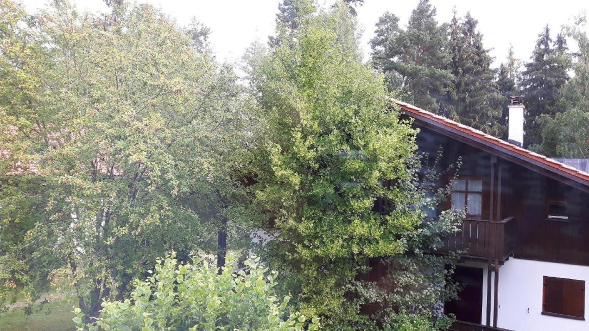 Ferienhaus Virzi - Waldferiendorf Regen Esterno foto
